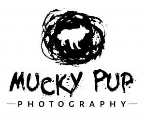 Mucky Pup Photography Swansea South Wales
