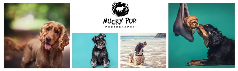 Christmas Gift Ideas Mucky Pup Photography Photo Shoot