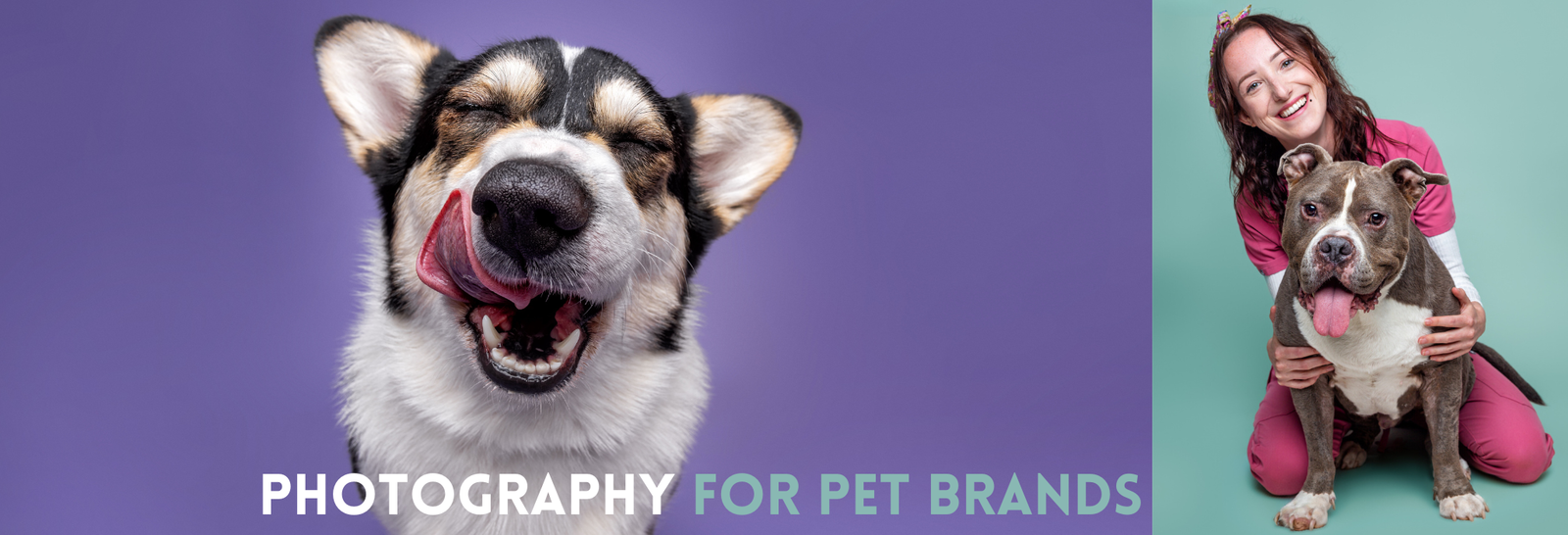 Photography for pet brands