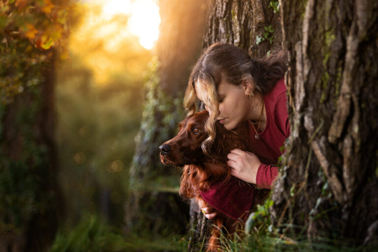 red setter with her owner in the woods in Gower, Swansea at sunset photographed by a professional pet photographer 