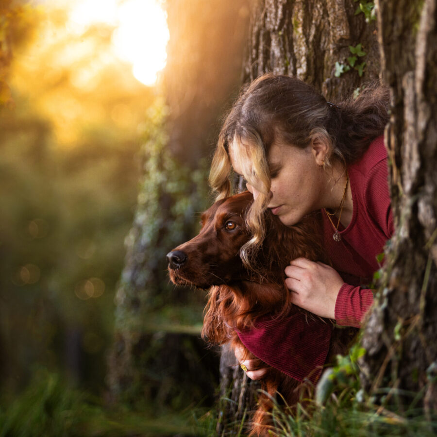 red setter with her owner in the woods at sunset