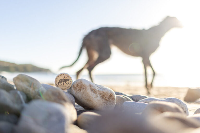 a branding photograph for a dog paw balm photographed on the beach with an out of focus dog in the background.