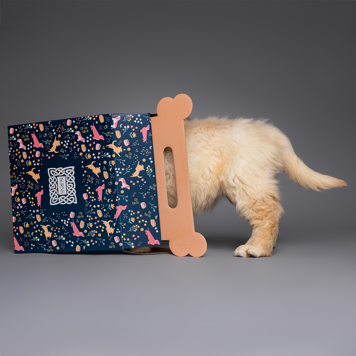 in studio commercial photography for Burns Pet Nutrition puppy campaign